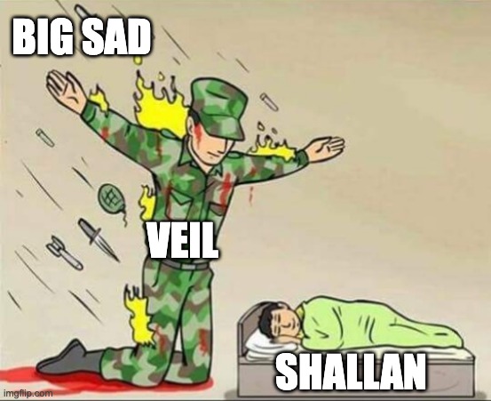 meme-14.jpeg.96759bc9e79c46135aeb80f3950d9eff.jpeg