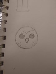 Hooty looking normal for the only time ever