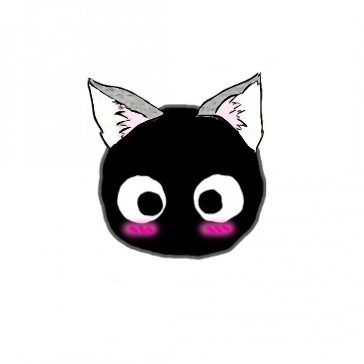 6321fb87f1a87_CATDANNEXX.thumb.jpeg.eb7febc1cc57040427ee300aeb60885f.jpeg