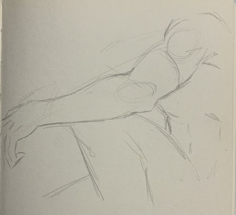 2DE25147-BDD4-4B26-AB38-3EBB9411C280.thumb.jpeg.1f17e9d802898e2a0b870e38f9e39666.jpeg