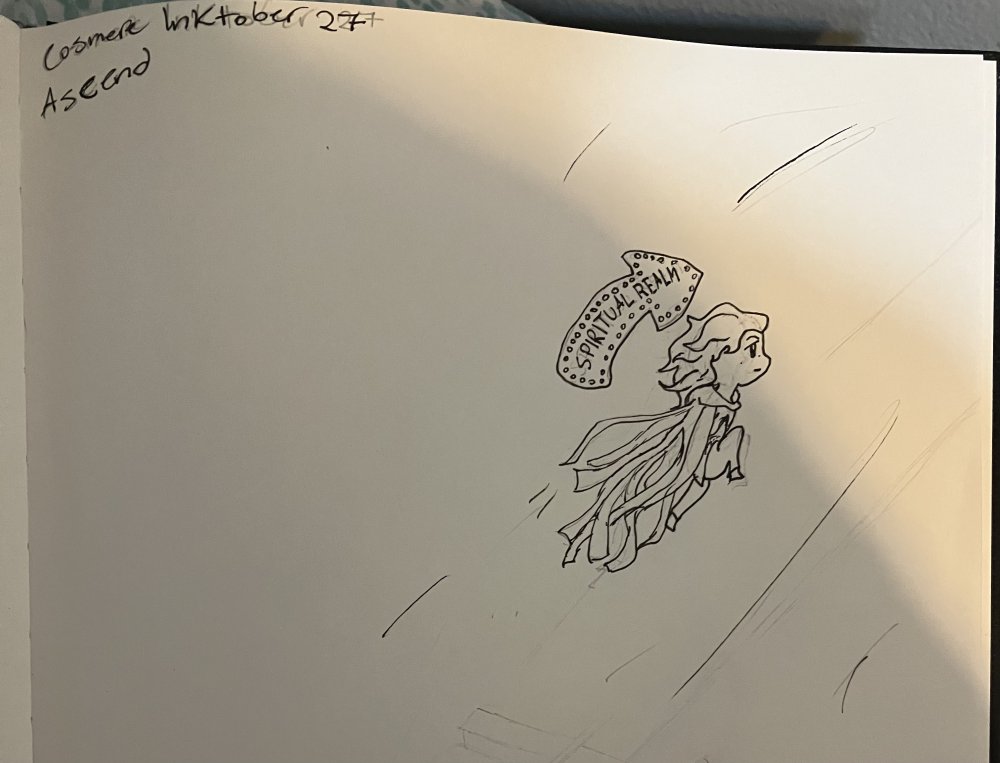 5474C960-452F-4A22-97BE-5097FD07274D.thumb.jpeg.7098f5f8f7c9e902df34583fbb2812ef.jpeg
