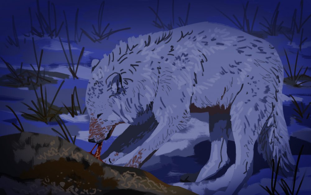 6356ffd2df597_Sketch22_10_2424.thumb.jpg.715428cf5232c834b204fafbf849435a.jpg