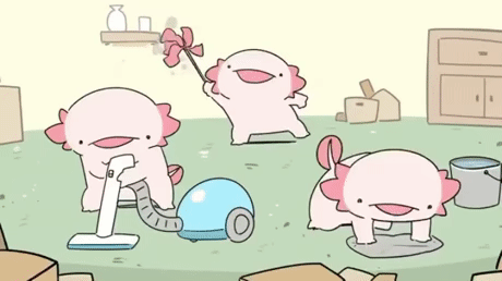 axolotls.gif.fb8fb5795ec30e841d62d691eb5c48fb.gif