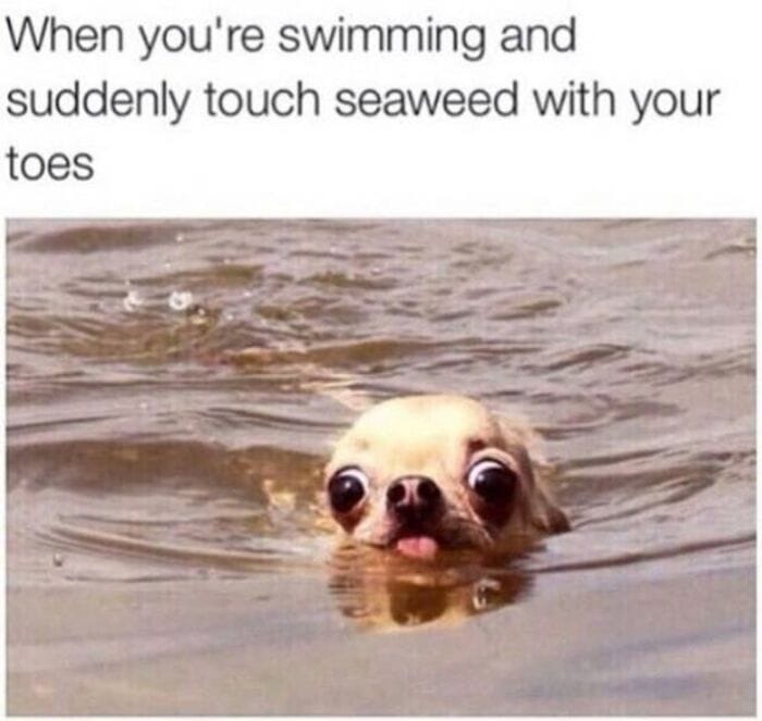 Clean-Memes-32.jpg.a1afa56139470ca665a6d7722c525913.jpg