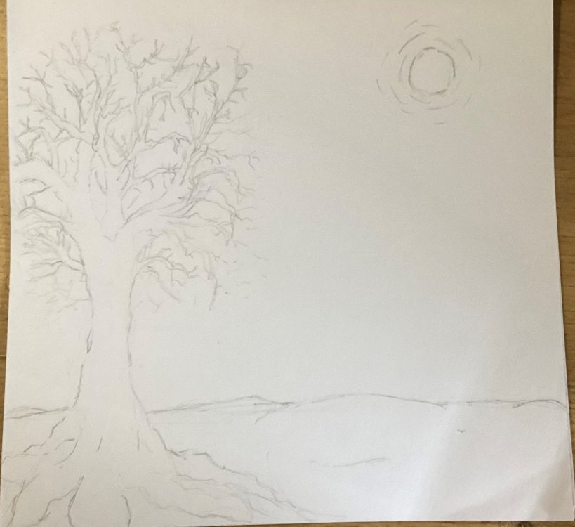 63d0c10c1e072_wacktree.thumb.jpg.9da73174b465874753bdc7233ddf8318.jpg