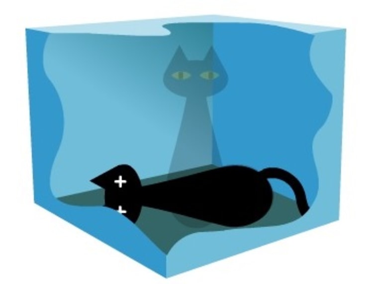 6C8356939-130722-science-cat-720p.jpg.5a1126b941971248db24b4a4e7b29f3f.jpg