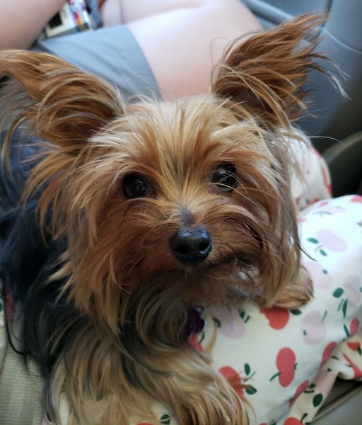 642a301db4614_abdkbskfslikdbbvifpupper.jpg.e8d0e3abc31b2381939fe4e593164d70.jpg