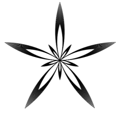 5 Point Flower