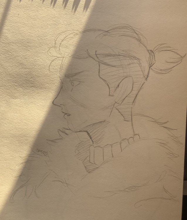 IMG_3848.thumb.jpeg.fc4a512286428665d7418050200e0e91.jpeg