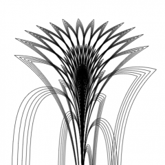 A Blooming Polar Flower