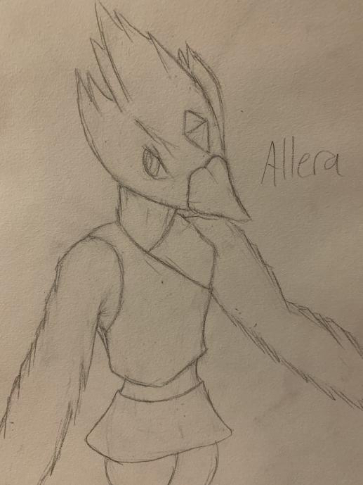 Allera.jpg.c0d86103a107e47768fb07e9f74173a2.jpg