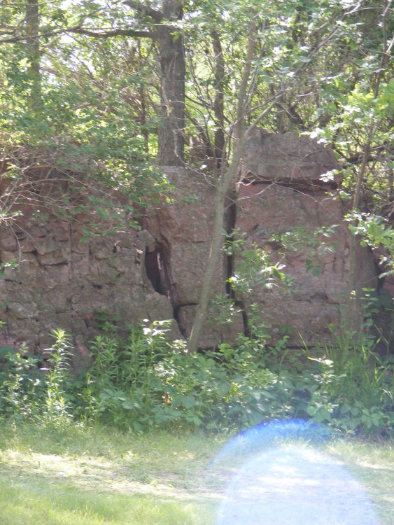 DSCF0684.thumb.JPG.c28c76d17ea596beaa5eb3b9f329d41d.JPG