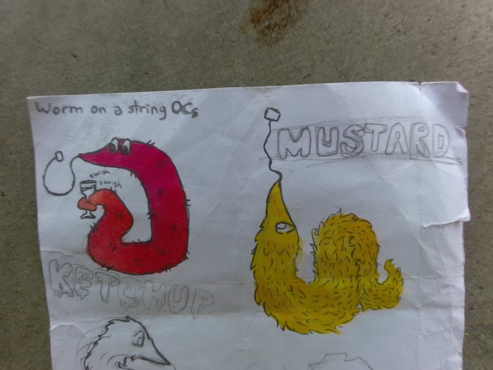 IMG_20230614_122510.thumb.jpg.f431286cf9b597343f5eb63e29cabdfb.jpg