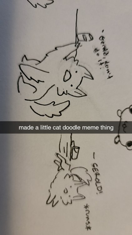 Snapchat-1801541722.thumb.jpg.80b20ec384b1bd96321425ce219a5665.jpg