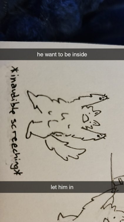 Snapchat-271210109.thumb.jpg.954758f5299fd57baf32d6d5169e786f.jpg