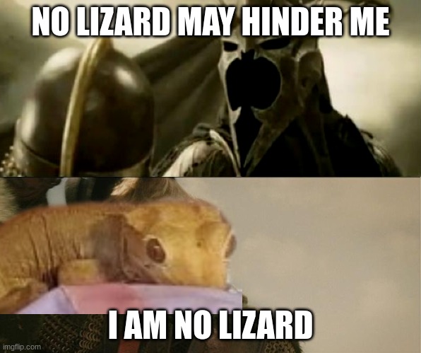 PetriGeckli.jpeg.8332cf262661918a617d3f4bcd15471e.jpeg