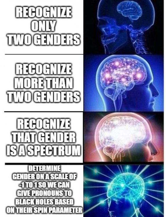 gender.thumb.jpg.f3b9c1f639bc77d4494dc5d91f2d7431.jpg