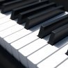 PianoSavant