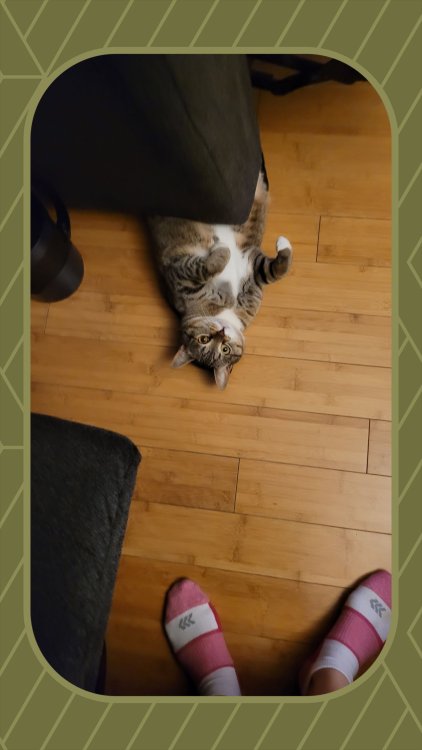 20221114_211248-PHOTO_FRAME.thumb.jpg.2a0025a46354cb824cfc838c074fd62d.jpg
