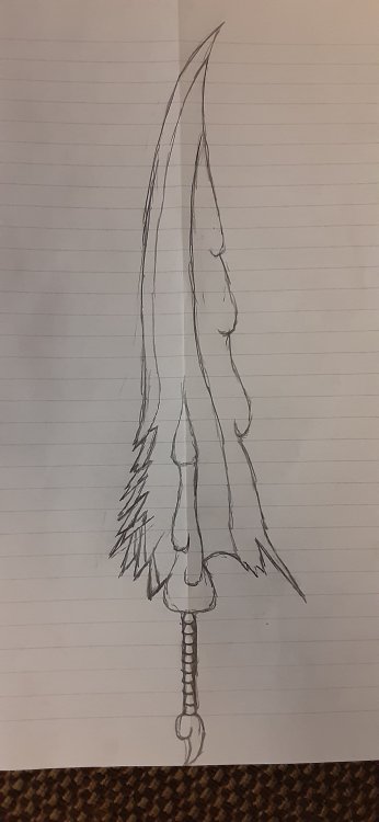 20231014_224055.jpg