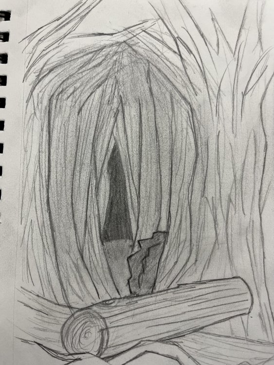 unnamed.thumb.jpg.f69e820b2350b08f85f1c38c2c206a11.jpg