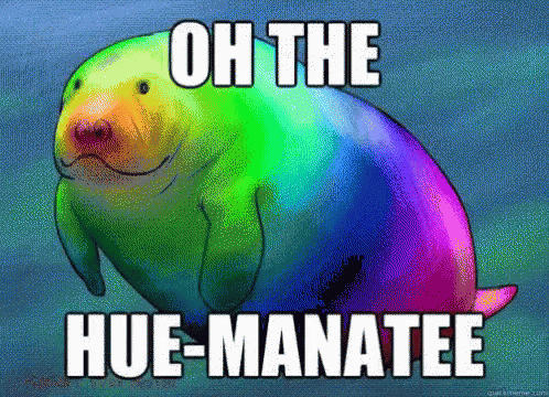 IMG_5083.gif.b99fa56c114995f2e2425a3fc3cfa365.gif