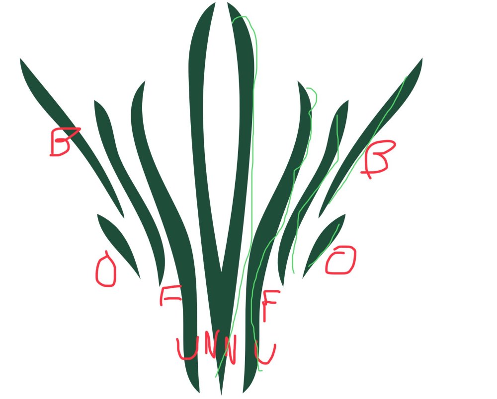 2C65142C-CE02-42E7-B796-2C3BBE5697AF.thumb.jpeg.d490bf304baf63c305cf161a04eb598b.jpeg