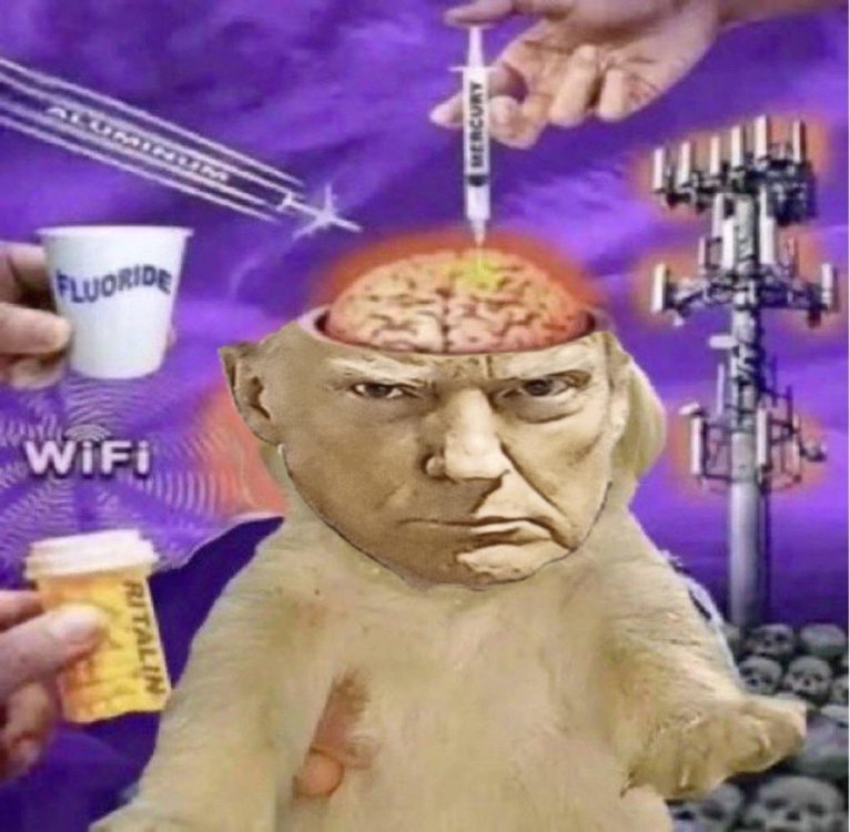 2d9.jpg
