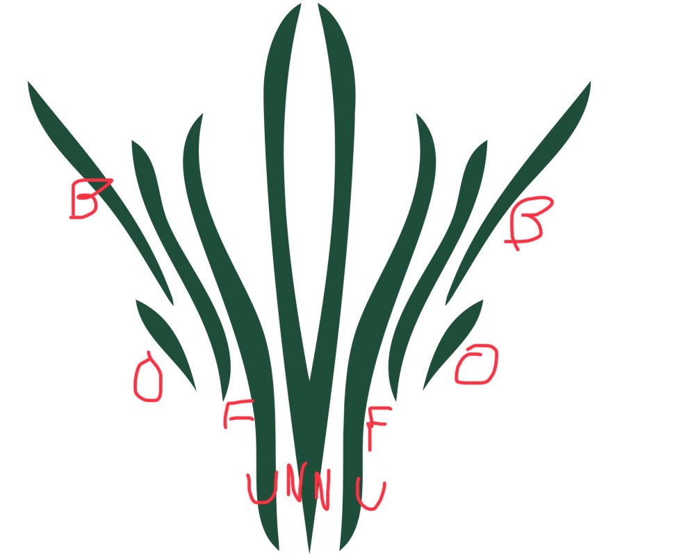7079BF78-830F-4F46-B566-71EA3A44D09E.thumb.jpeg.90d25d3361ec3d833f7fd2587adbacb9.jpeg