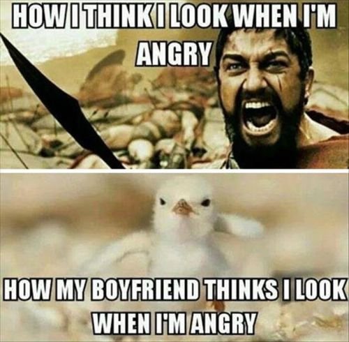 How-I-Think-I-BF-Meme.jpg.d6db06057affac6a9f5d11f63de49cf3.jpg