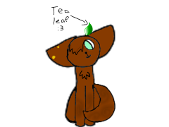 Tea
