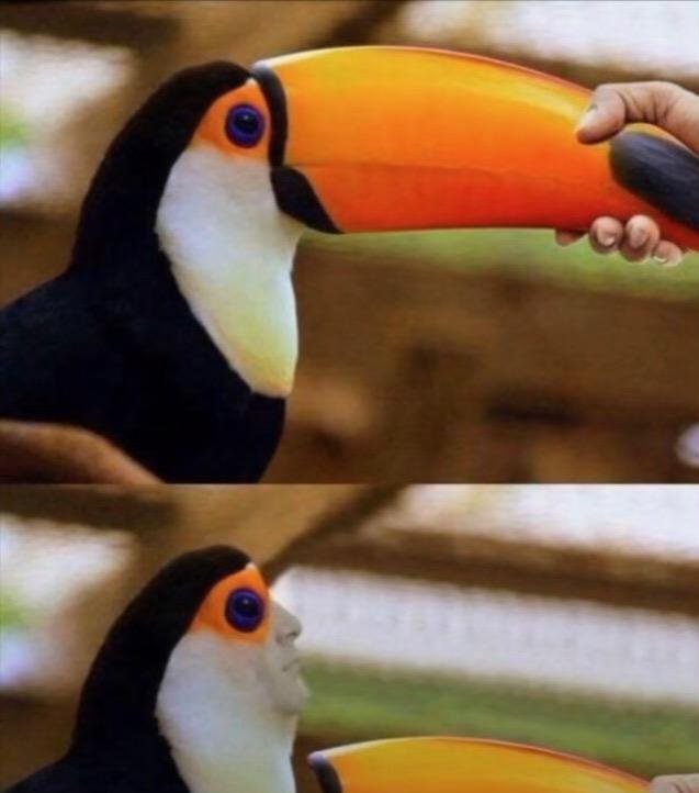 1000002173.jpeg.a8ffb82e5e003688edc54b73ae5c0dc6.jpeg