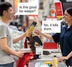 Wasps.jpeg.b5eaa0650e873cd723babeaf9baa65a7.jpeg