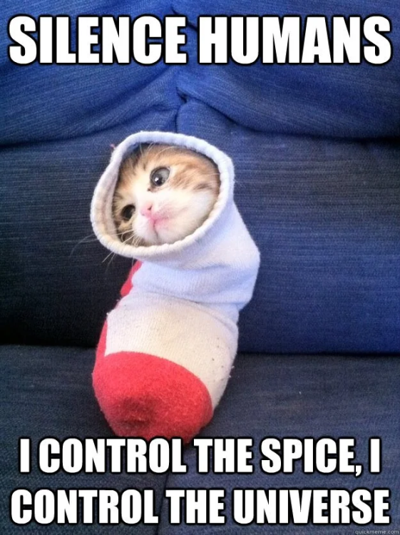 image.thumb.png.fc0d489e2979e4ba0ea6122b359406ab.png