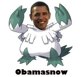 Obamasnow.webp.badb0509aca0963efe12b35c7393ed2d.webp