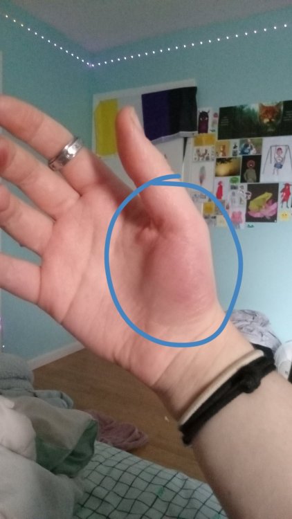 Snapchat-790678226.thumb.jpg.2b3dac4cfe144c1f830f55d52bfdc0bd.jpg