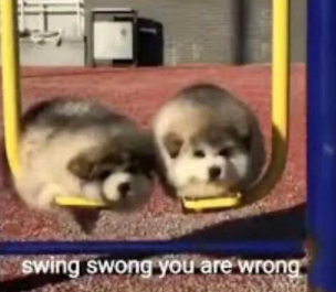 image.png.c23e19d49643904315f0d3f6a41c2aa4.png