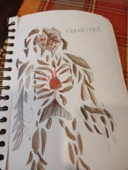 Thunderclast