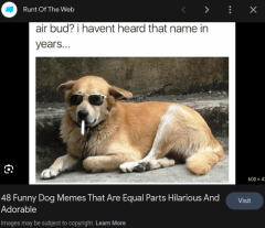 air bud...png