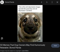 anti-depression doggo.png