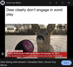 arrrby serves deer.png