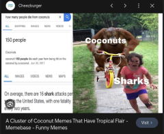 coconuts vs sharks.png