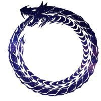 The Bookwyrm