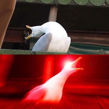 image.jpeg.5945a84d9e334b7477a0b42633db45b6.jpeg