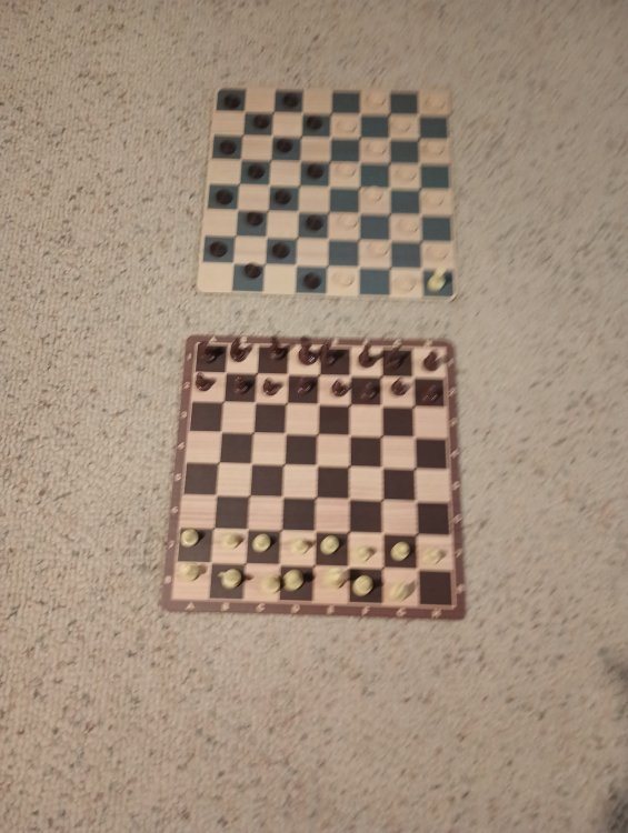 1720461980405361451334307724641.jpg