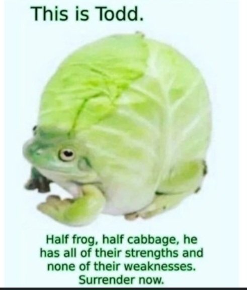 image.jpeg.270bd639a81071187b00e233dea300d4.jpeg