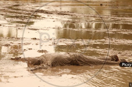 image.png.920ae0465a1a6e381f51fad4840f770d.png