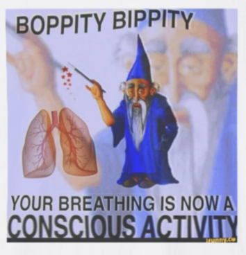 image.png.b07fa7cab9d92dd0defd56acdc077460.png