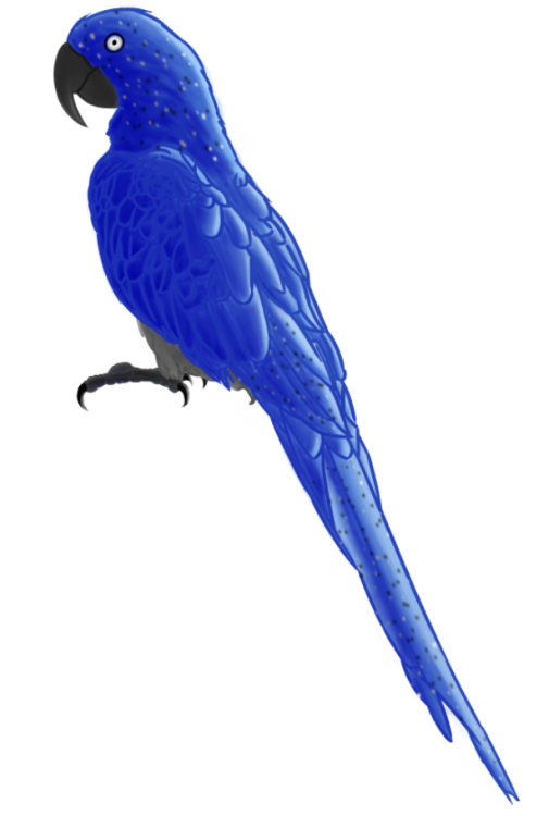 image.thumb.png.65aadcc3ef95d72fa89724991f14f558.png