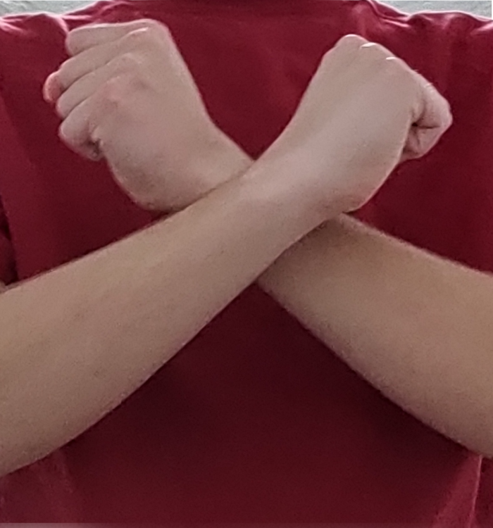 bridge4.thumb.png.3fe994c6b6c3fa73f544c12f984b6cdd.png